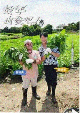 声浪现场 音乐竞演综艺封面